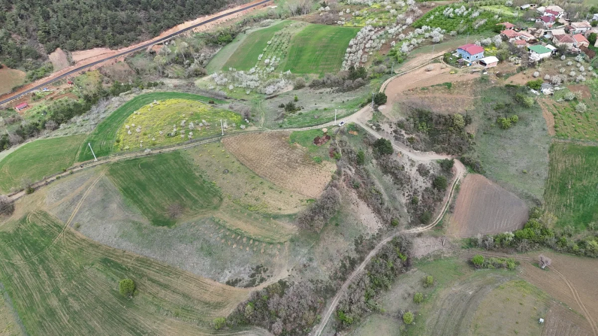 SAKARYA GEYVE ÇAMLIK KÖYÜNDE FIRSAT ARAZİ